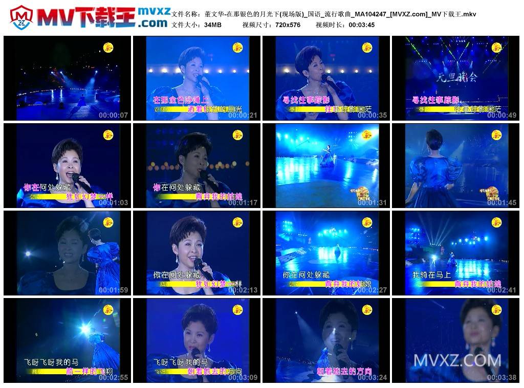 董文华-在那银色的月光下(现场版)_国语_流行歌曲_MA104247